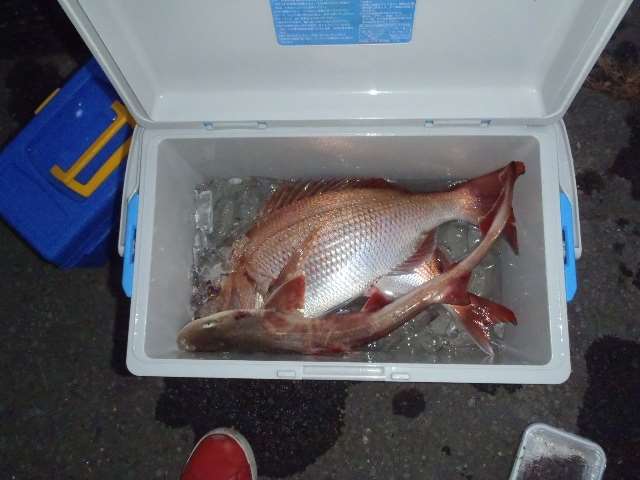 ジェットフィッシング結果報告