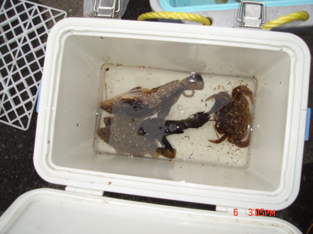 ＪＥＴ　ｄｅ　釣り大会