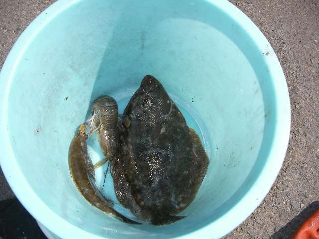 釣り大会延期・・・